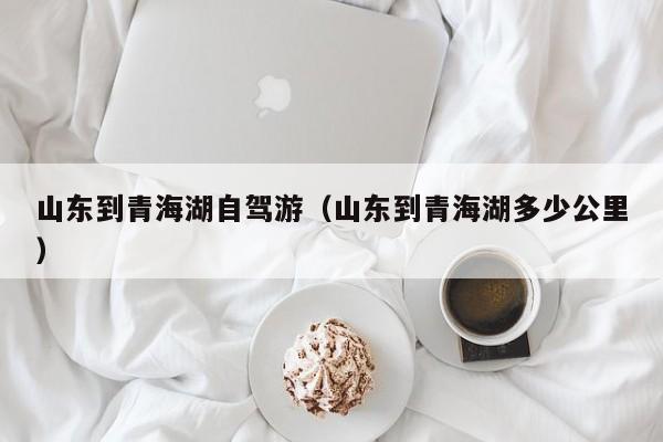 山东到青海湖自驾游（山东到青海湖多少公里）