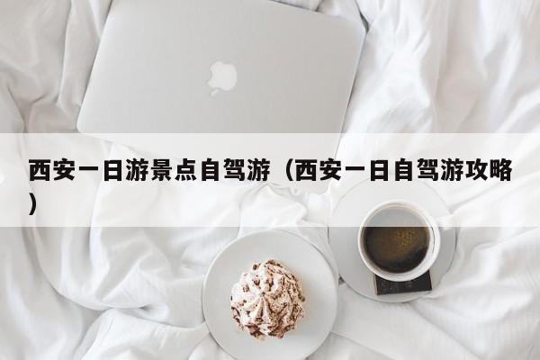 西安一日游景点自驾游（西安一日自驾游攻略）