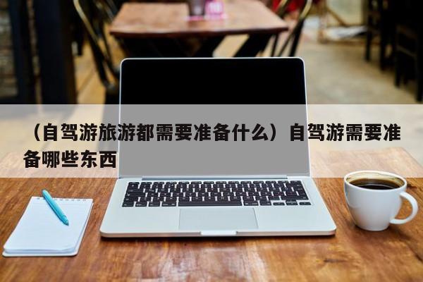（自驾游旅游都需要准备什么）自驾游需要准备哪些东西