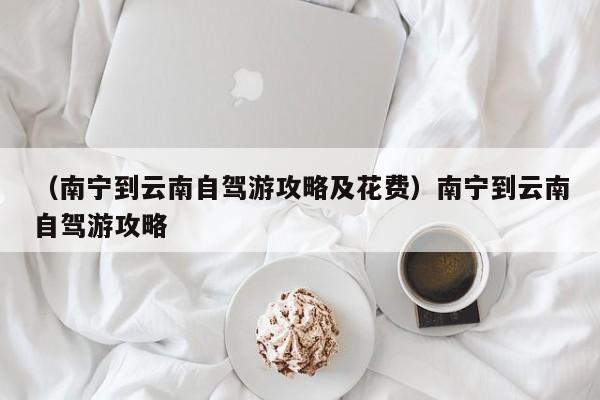 （南宁到云南自驾游攻略及花费）南宁到云南自驾游攻略