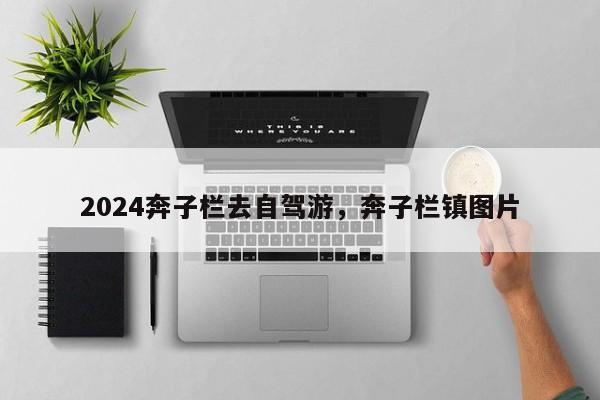 2024奔子栏去自驾游，奔子栏镇图片